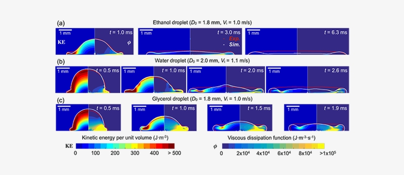 Rain Droplets - Rain, transparent png download