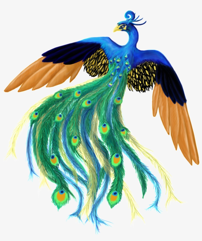 Artwork Ideas, Peacock Feathers, Free Images, Peacocks, - Peacock, transparent png download