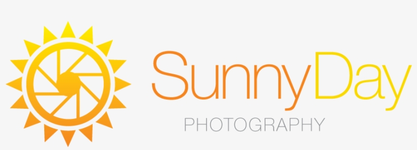 Capturing All Of Your Life's Sunny Days - Gold Alchemy Symbols Png, transparent png download