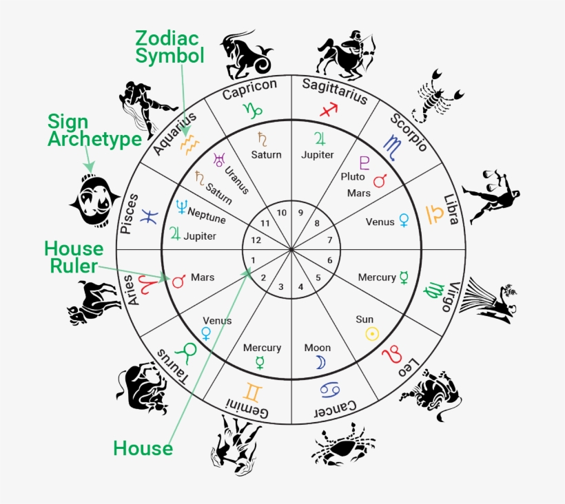 "our Astrologer Shastri Ji From Mantralayam Residing - Astrology Houses And Signs, transparent png download