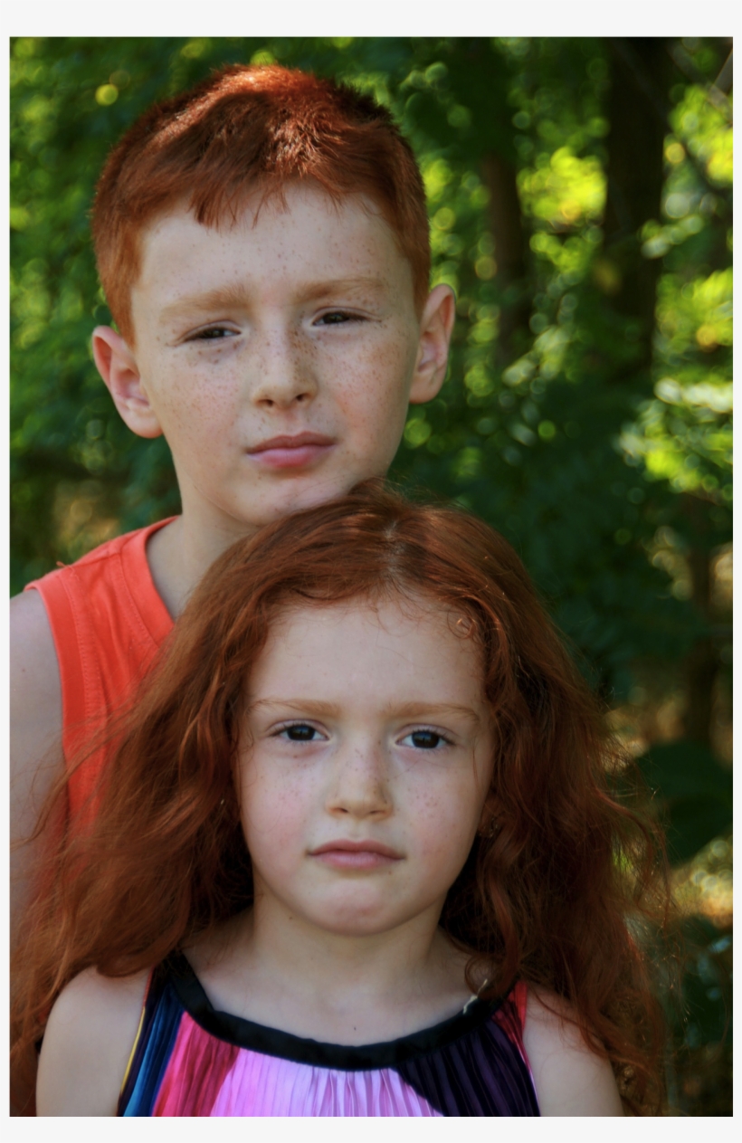 Biological Genetics Brother, transparent png download