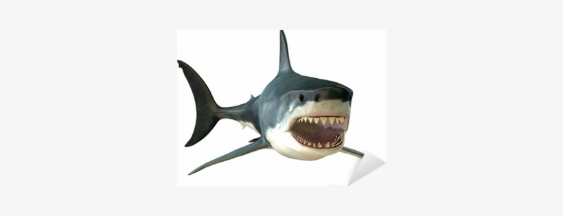 Great White Shark Canvas Art - Corey Fordstocktrek, transparent png download