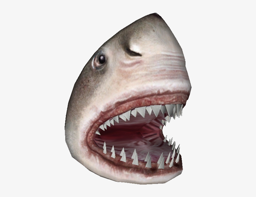 Download Zip Archive - Great White Shark, transparent png download