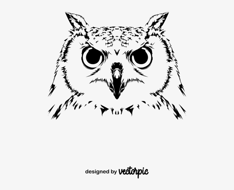 Great Horned Owl, transparent png download