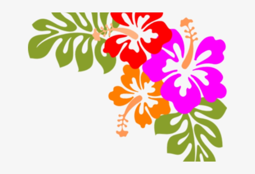 Flowers Vectors Clipart Hawaiian - Hibiscus Clip Art, transparent png download