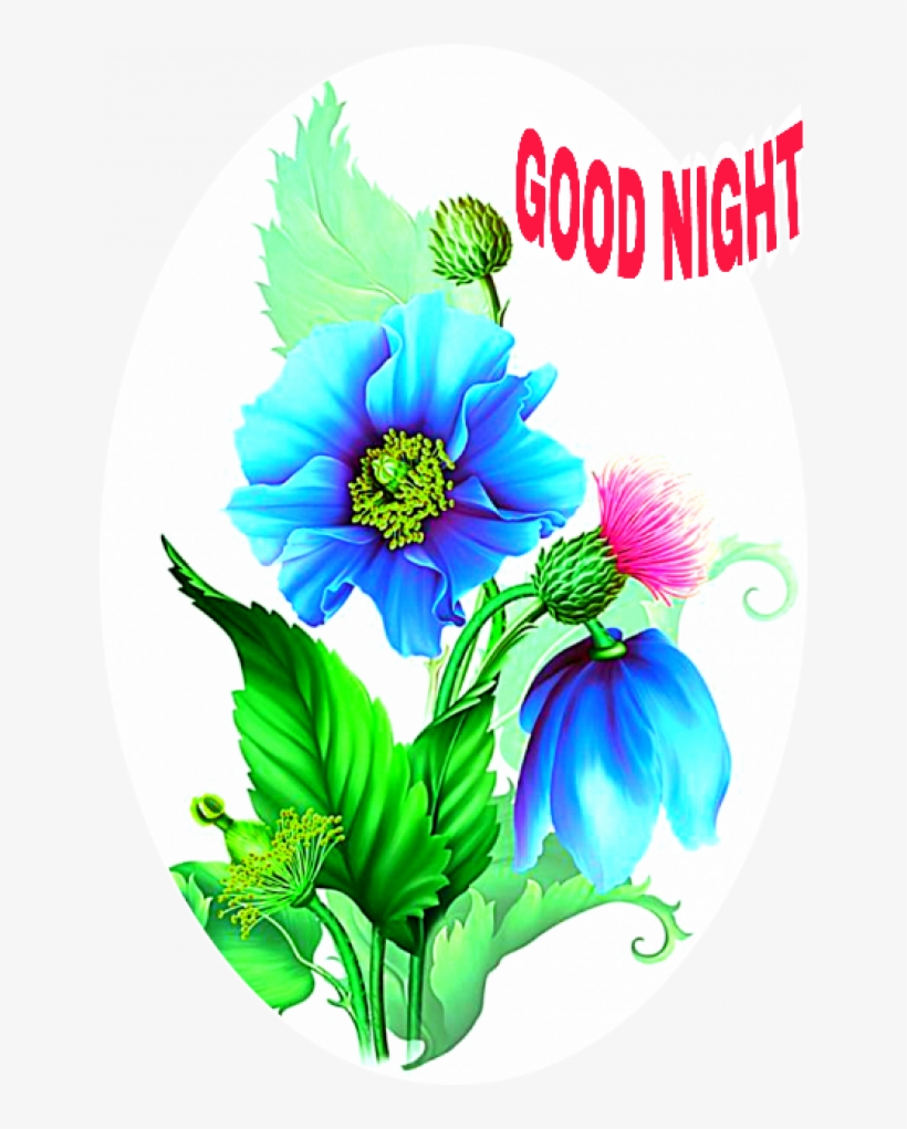 Image - Moonbeam's 1212, transparent png download