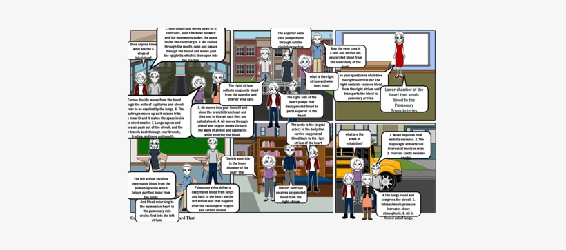 Steps Of Breathing Process - Heart, transparent png download