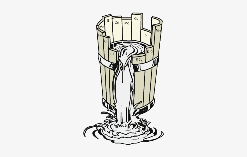 Justus Von Liebig, Generally Credited As The "father - Liebig's Law Of The Minimum, transparent png download