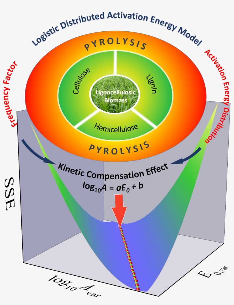 Junmeng Cai Gave A Presentation About Lignocellulose - Shanghai Jiao Tong University, transparent png download