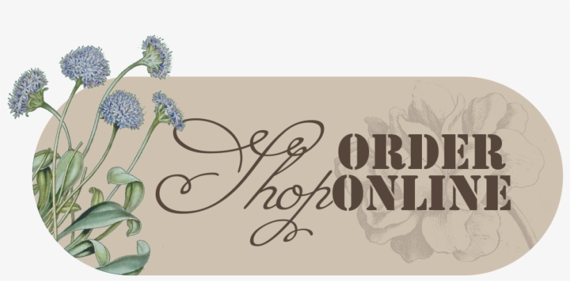 Shop-2 - Urgent Action Fund, transparent png download