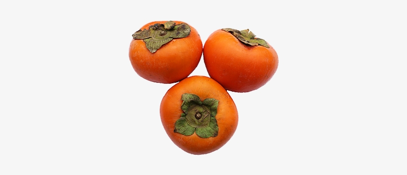 Persimmon Png Clipart - Persimmon Transparent, transparent png download