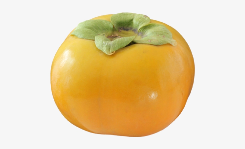 Persimmon Png Free Download - Persimmon Png, transparent png download