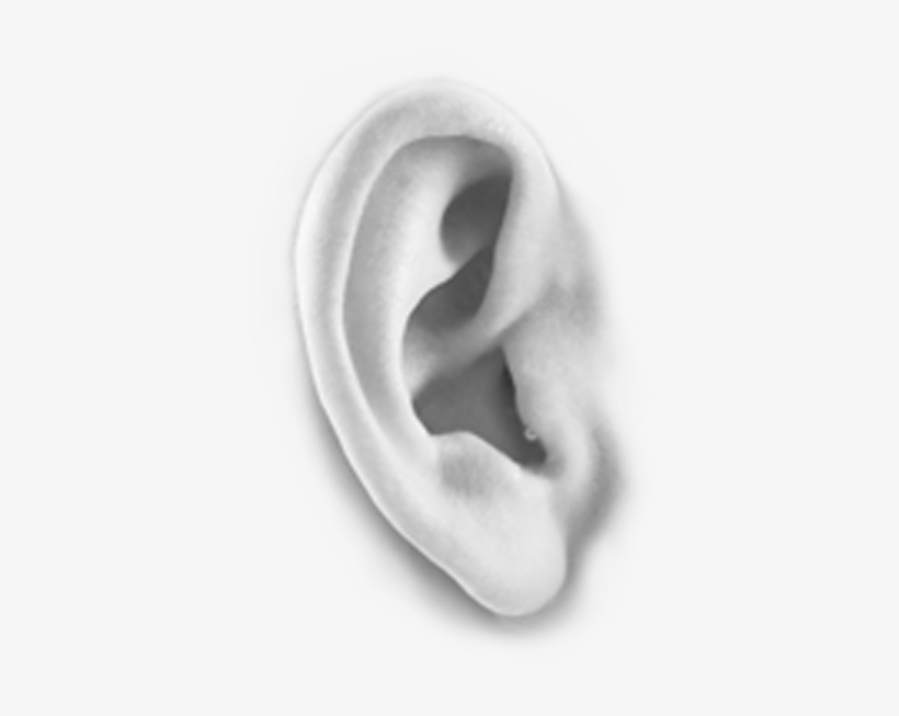 Hearing Doctors - Tongue, transparent png download