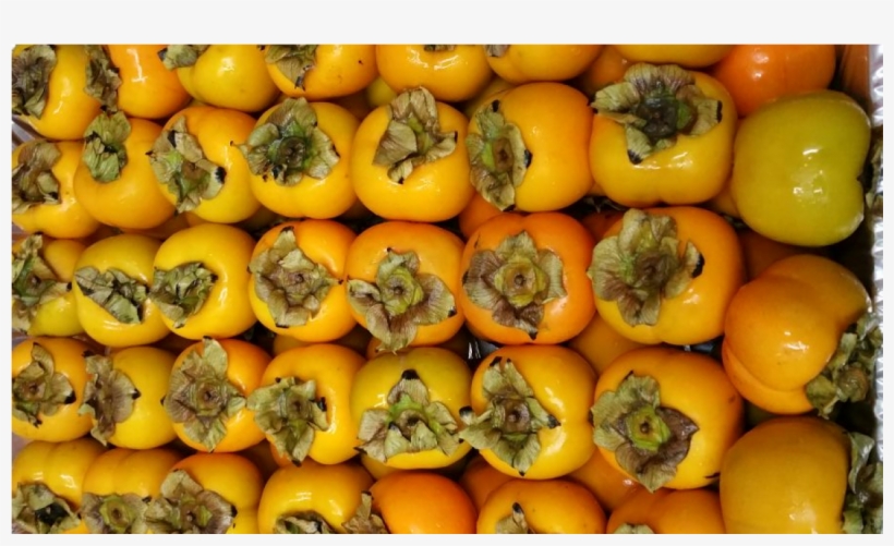 More Views - Gourd, transparent png download