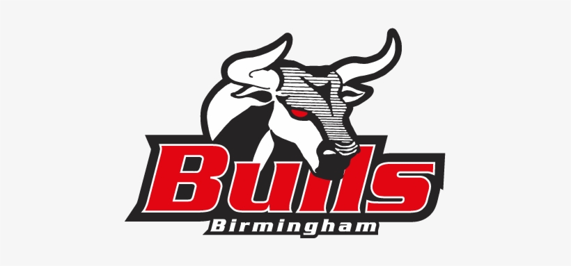 I Would Never Change It, But There Are Other Bulls - Birmingham Bulls American Football, transparent png download