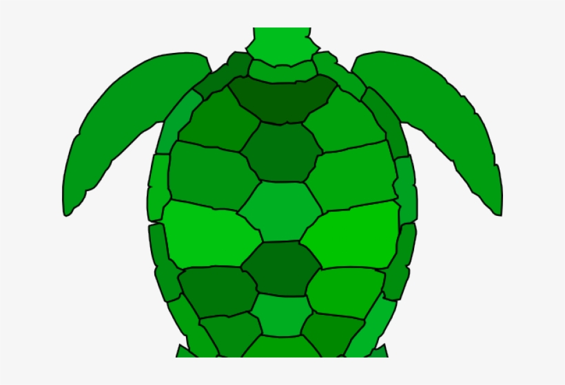 Sea Turtle Clip Art, transparent png download