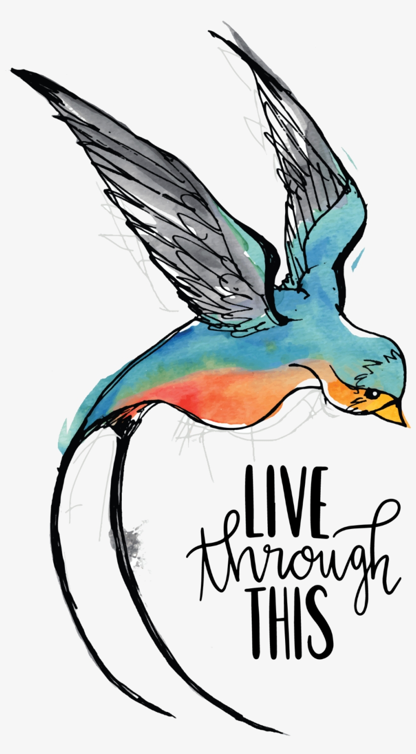 Film, transparent png download