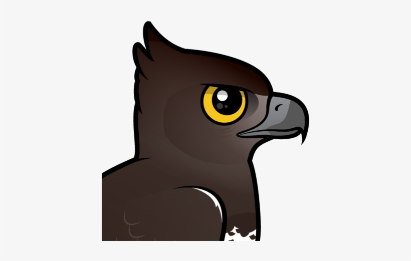 About The Martial Eagle - Martial Eagle, transparent png download