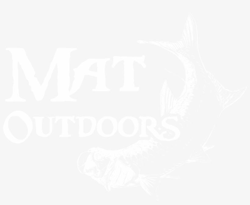 Death But No Taxes, transparent png download