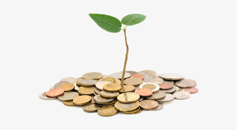 36,000 Worth Of Dogecoin Was Donated And The Dogecoin - Fund Raising, transparent png download