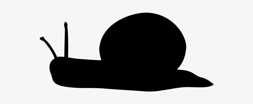 View All Images-1 - Information, transparent png download