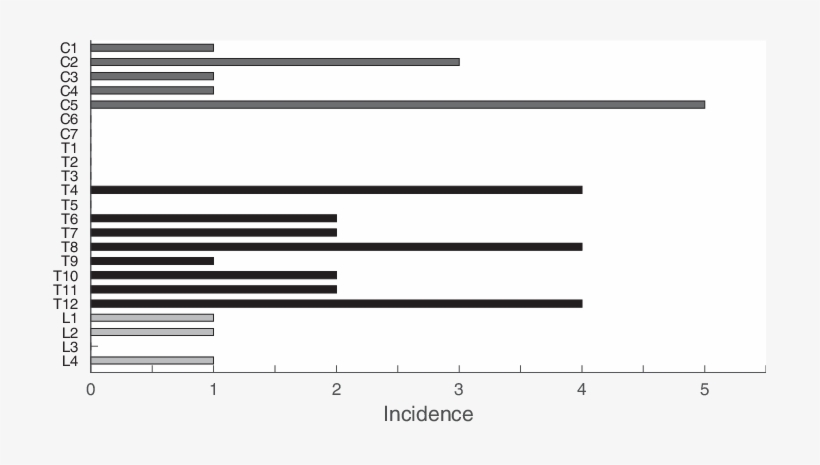 Injury Level Of 35 Patients With A New Spinal Cord - Monochrome, transparent png download