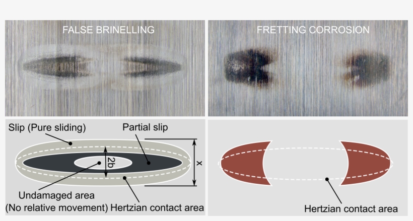 Fretting And Falsebrinelling Schwack Byckov - Fretting Corrosion, transparent png download