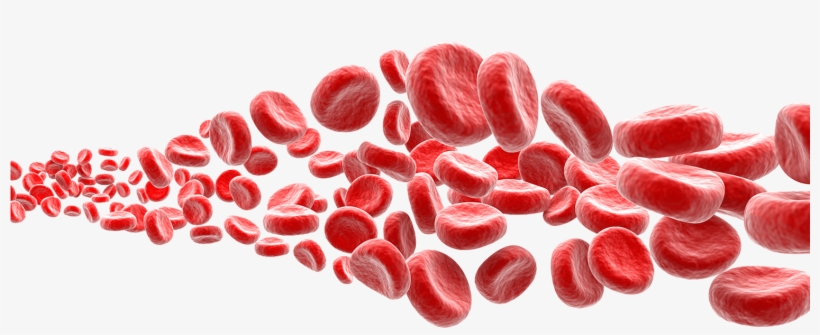 Cell Blood With Background, transparent png download