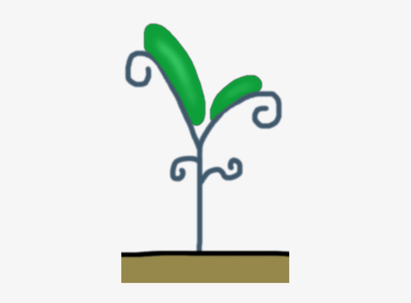 Regeneration Custard Plant - Plants, transparent png download