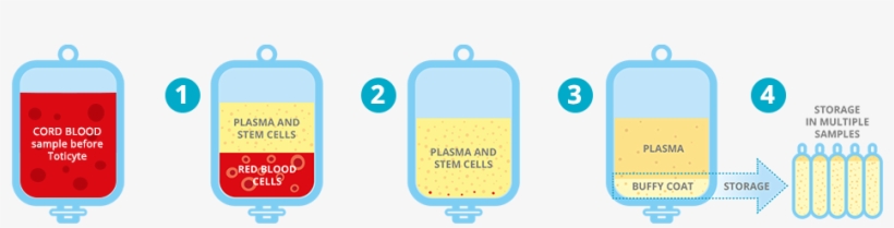 1) Toticyte Causes The Red Blood Cells To Sediment, - Blood Bag Buffy Coat, transparent png download