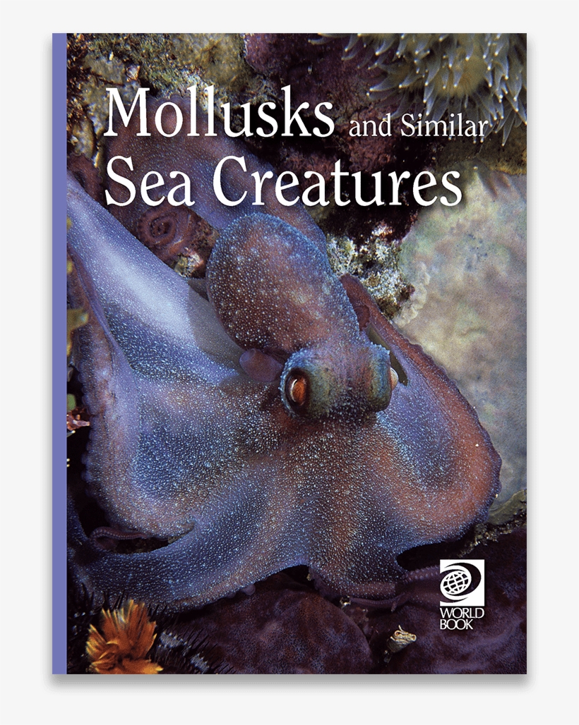 Home > Single Books > Ages - Sea Animals, transparent png download