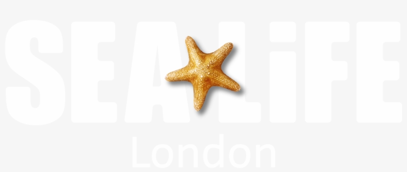 Sea Life London - Minnesota Sea Life Aquarium Logo, transparent png download