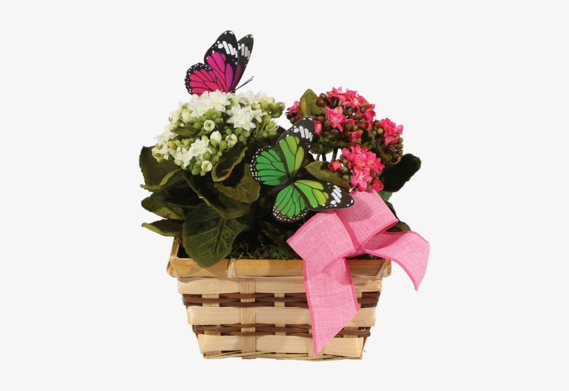 Silk Potted Double Kalanchoe Basket • - Bouquet, transparent png download