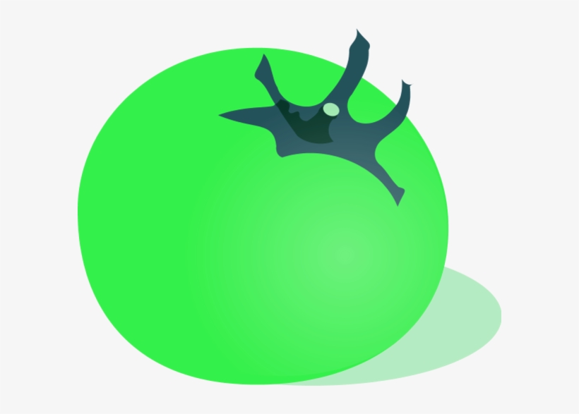 Tomato Vector Clip Art - Green Tomatoes Clipart Png, transparent png download