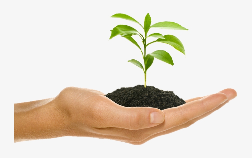 Our Approaches For Client Requirement, By Giving Innovative - Gif Agro, transparent png download