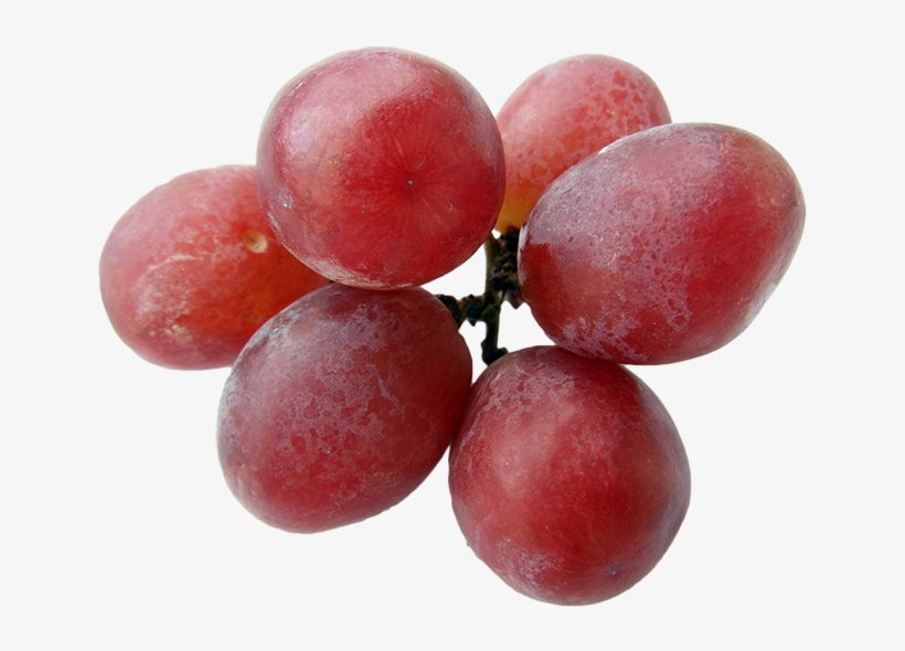 Grapes - Grape, transparent png download