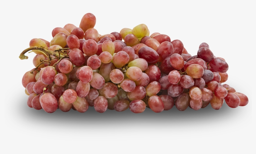 Grapes - Grape, transparent png download