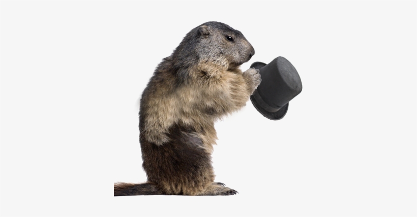Groundhog Png Hd - Groundhog Day Png, transparent png download