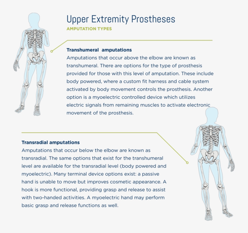 Teaming With Innovative Component Manufacturers, We - Plaza De San Marcos, transparent png download