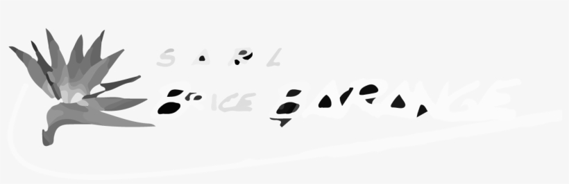 Logo Brice Barange Feu D'artifice Lyon - Emblem, transparent png download