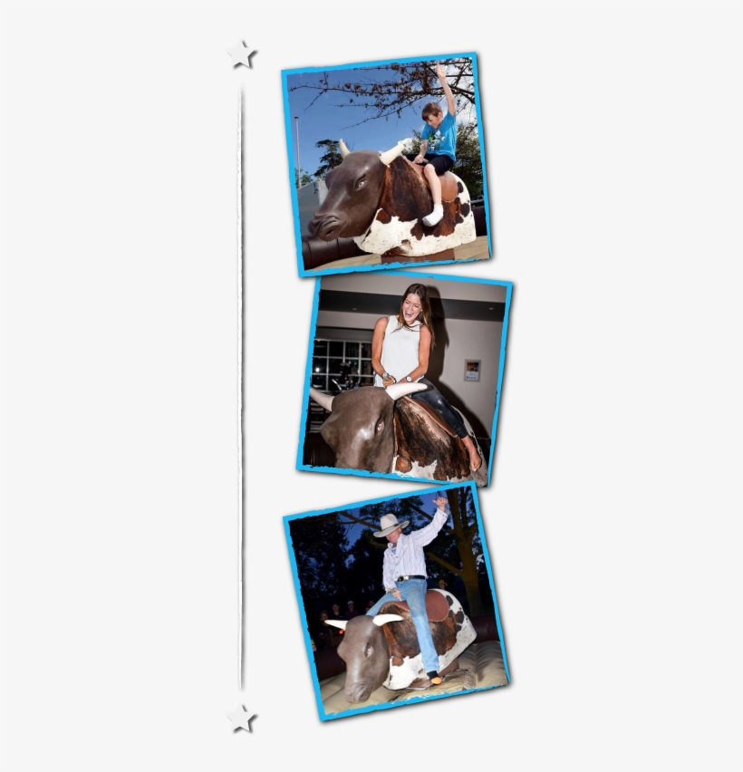 Welcome To The Home Of Northern Victoria's Most Exciting - North Vic Mechanical Bull Hire, transparent png download