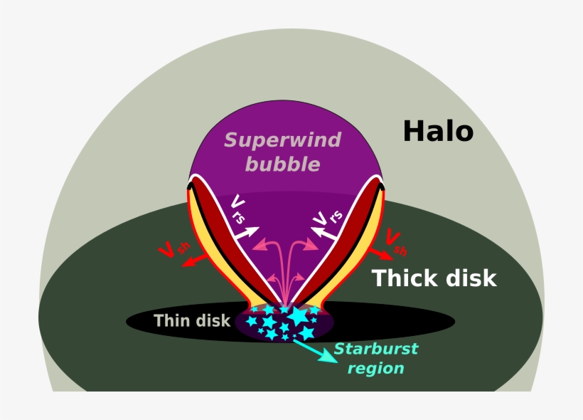 Show More Plots - Common Fig, transparent png download