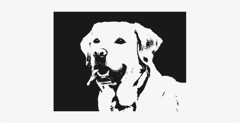 Labrador Dog Retriever Animal Pet Happy Cu - Cute Labrador Dog Vector, transparent png download