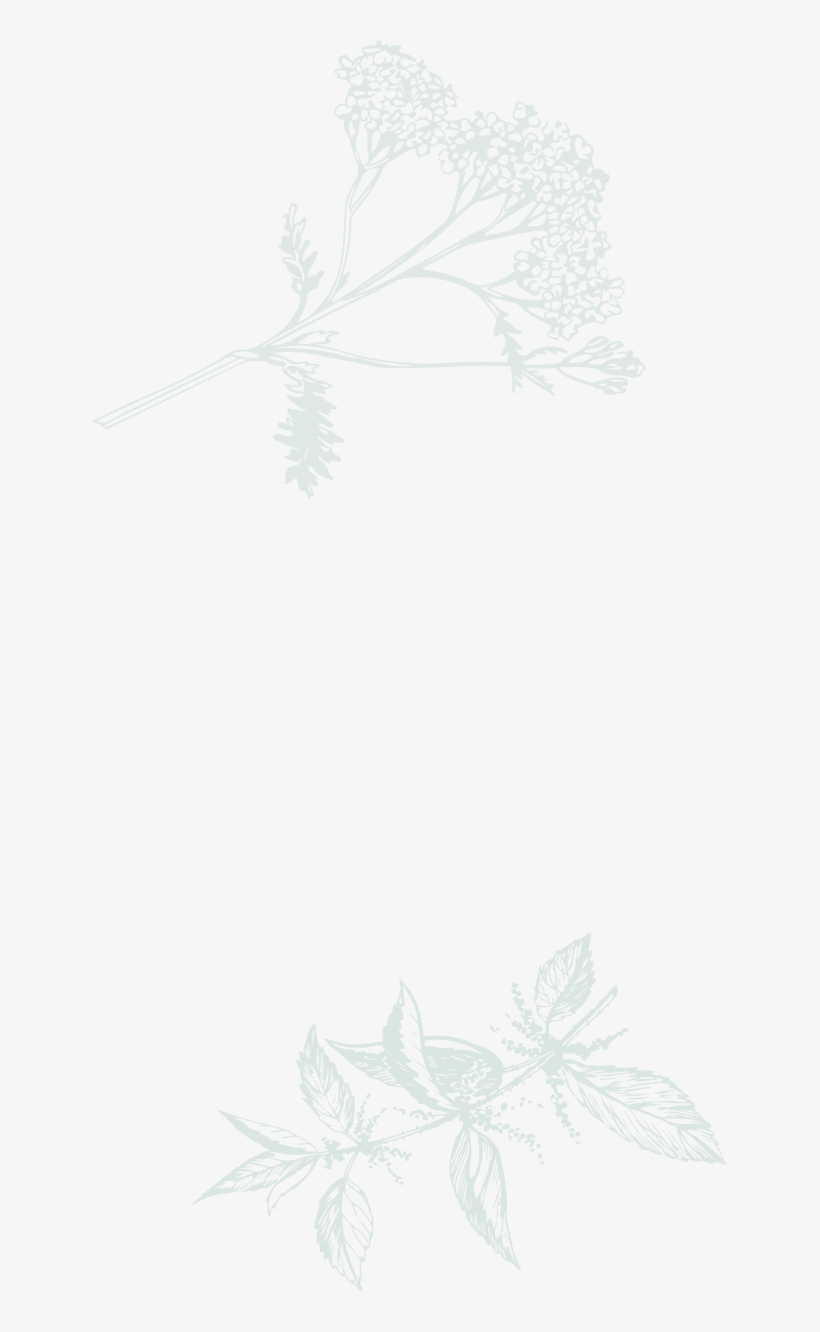 Versatile Timeless Designs - Sketch, transparent png download