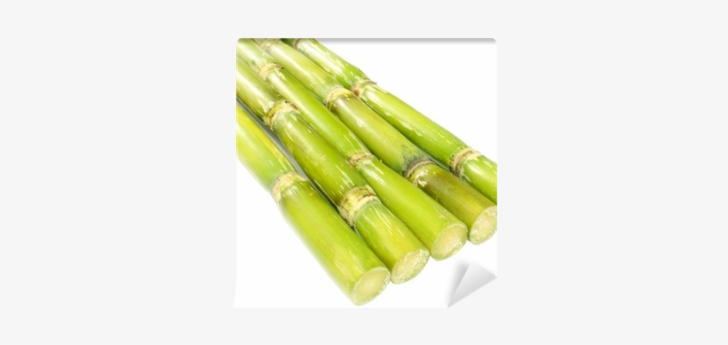 Sugarcane Cliparts, transparent png download