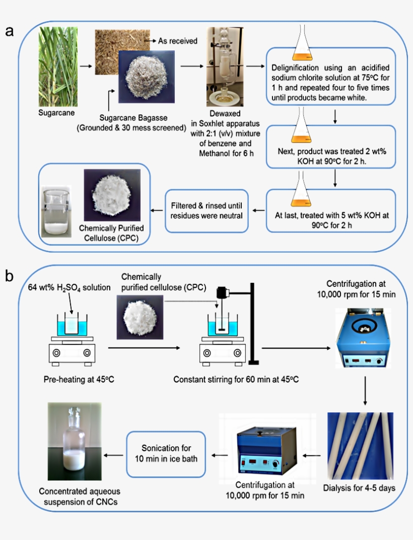 Schematic Representation Of Chemical Treatments - Extraction Of Cellulose Nanocrystals, transparent png download