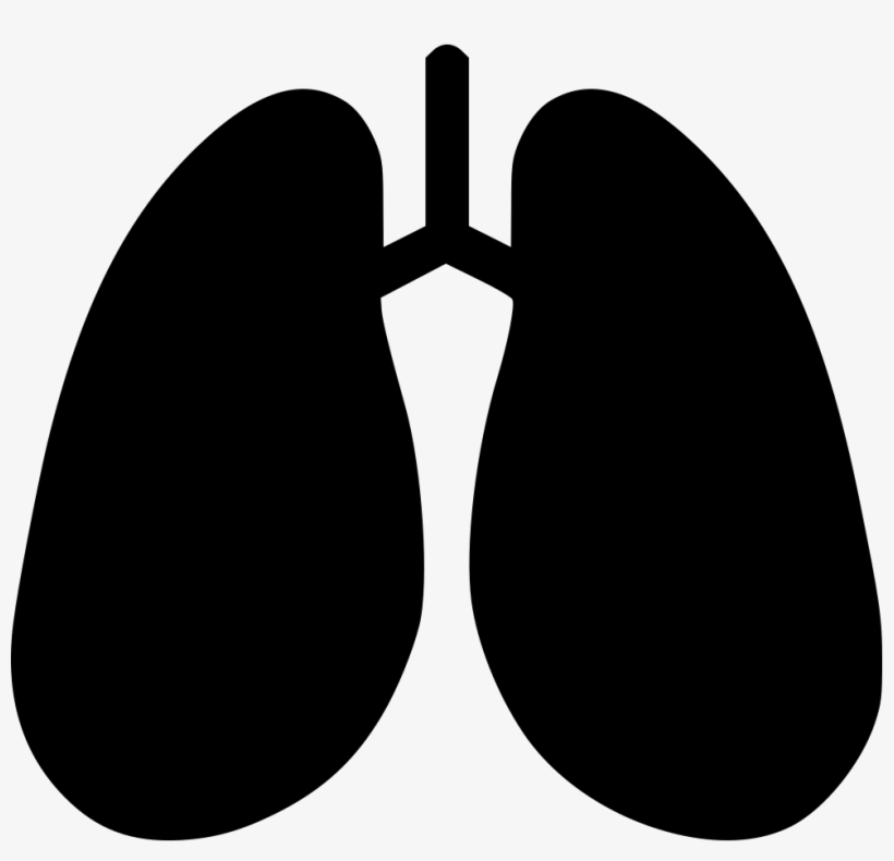 Anatomy Detoxification Hepatology Lungs Breathe Pulmonology - Medicine, transparent png download