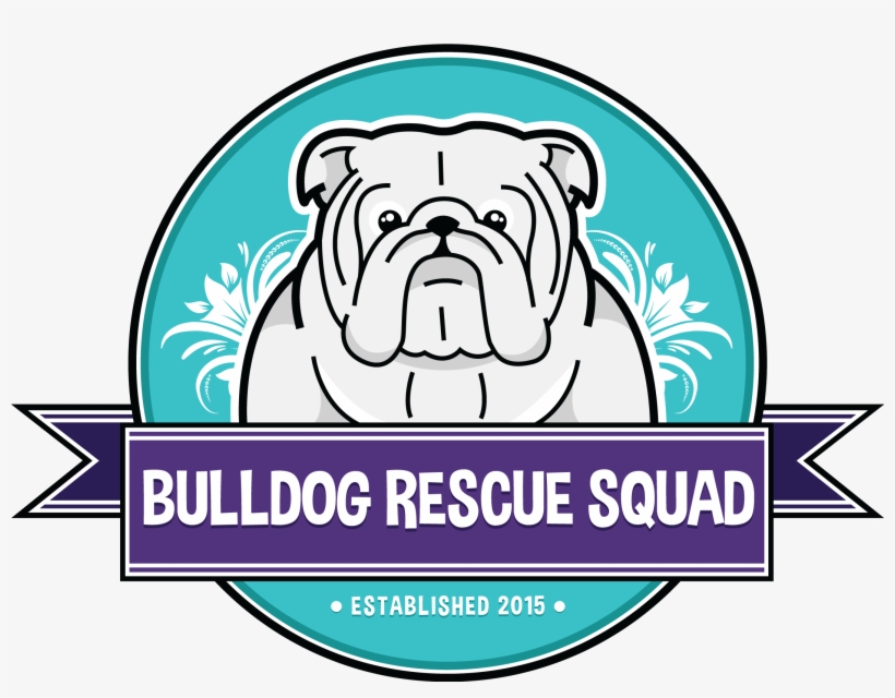 Logo - Australian Bulldog, transparent png download