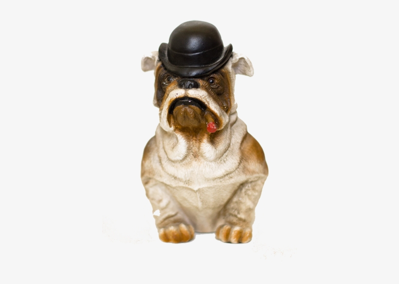 Pug, transparent png download