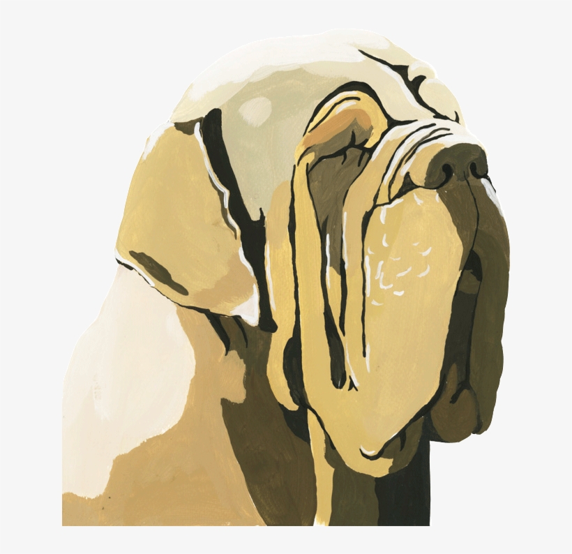 Ongoing Project - Olde English Bulldogge, transparent png download